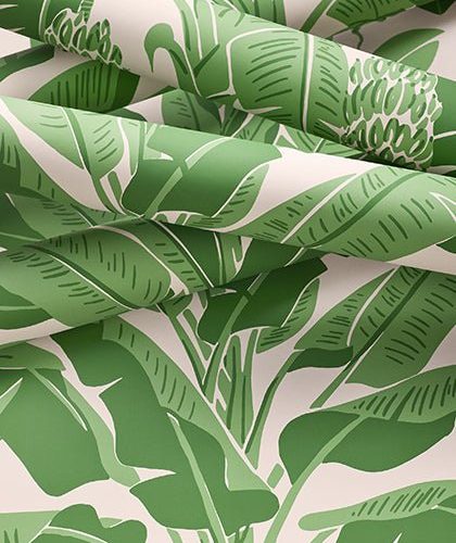 banana tree wallpaperthibautthe grove 850749