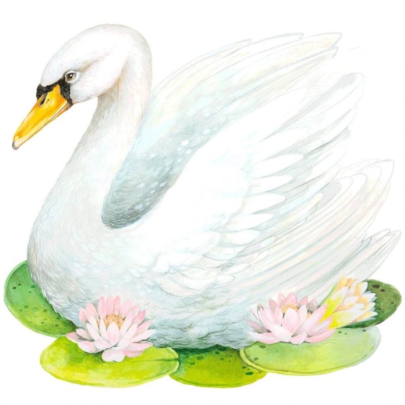 die cut fabulous swan placemathester cookthe grove 486102