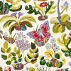 Exotic Butterfly Wallpaper-Wallpaper-Schumacher-The Grove