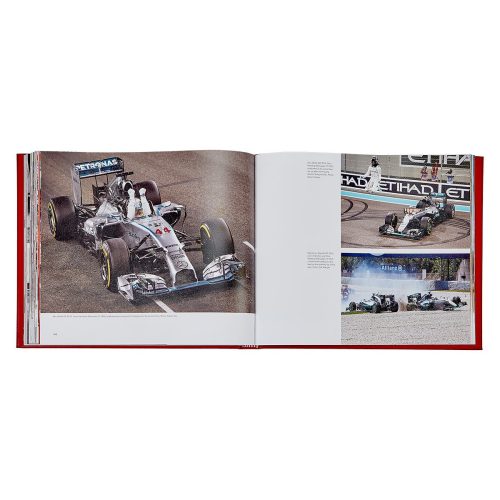 f1 heroesgraphic imagethe grove 690608