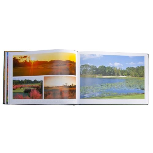 golf courses fairways of the worldgraphic imagethe grove 522872