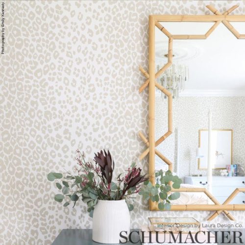 iconic leopard wallpaperschumacherthe grove 155350