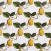 Le Citron Wallpaper-Wallpaper-Schumacher-The Grove