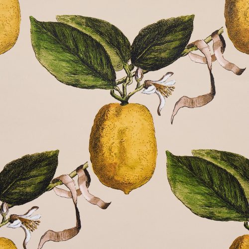 le citron wallpaperschumacherthe grove 486050