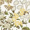 Meadow Wallpaper-Wallpaper-Thibaut-The Grove