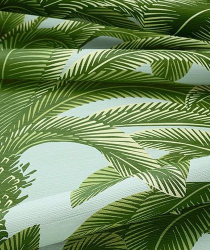 queen palm wallpaperthibautthe grove 930701