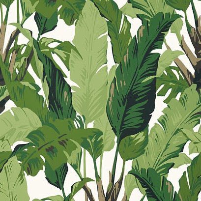 Travelers Palm Wallpaper-Wallpaper-Thibaut-The Grove