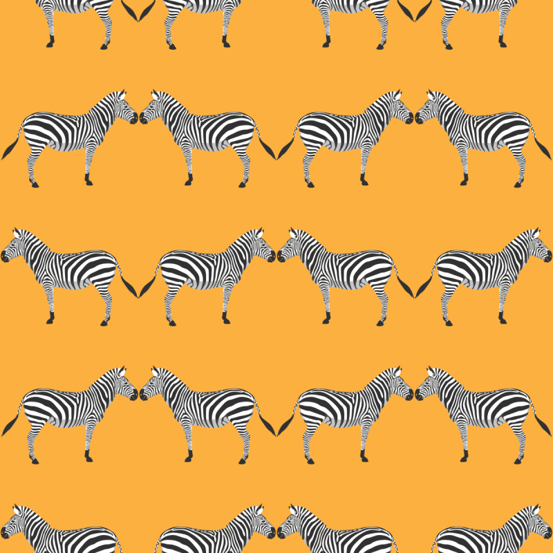 zebras bright orange wallpaperliza pruittthe grove 822227