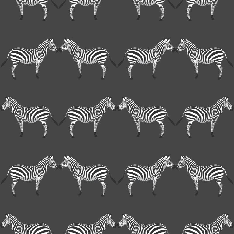 zebras charcoal wallpaperliza pruittthe grove 540926