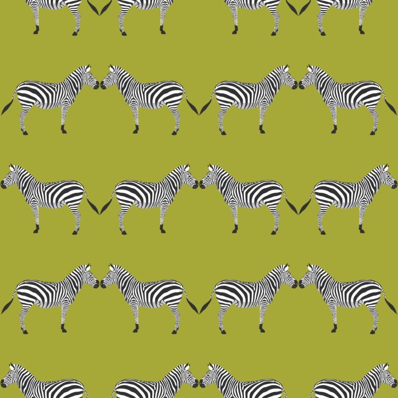 zebras chartreuse wallpaperliza pruittthe grove 249527