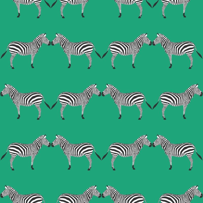 zebras green wallpaperliza pruittthe grove 228096